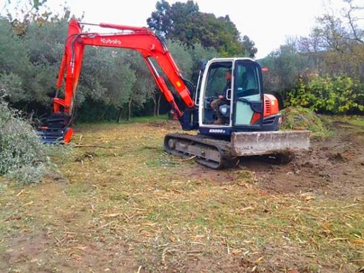 Nous sommes spécialisés dans le débroussaillage mécanique. 
